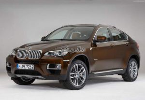 BMW X6 2 300x207 باتری بی ام و X6