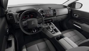 citroen c5 1 300x171 باتری سیتروئن C5