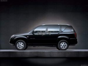 ssangyong rexton 5 300x225 باتری سانگ یانگ رکستون